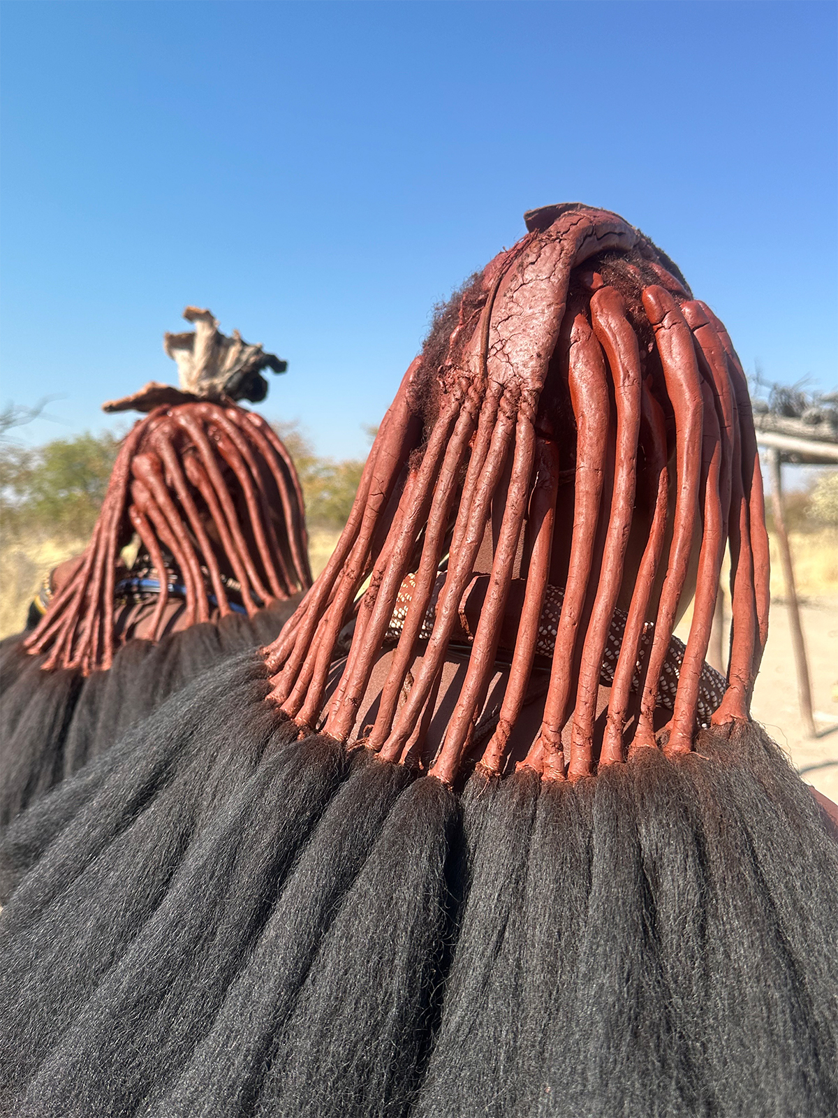 お客様から～お写真・ご感想～イメージ